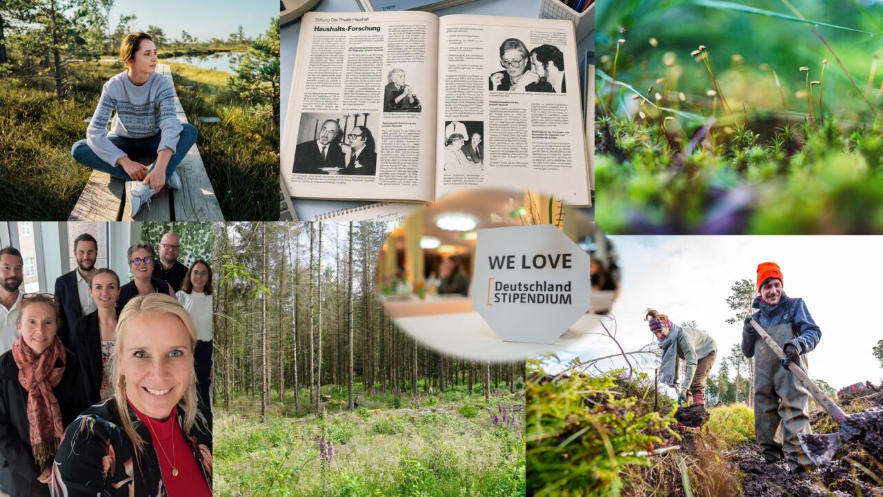 Collage aus Fotos aus der Stiftungsarbeit