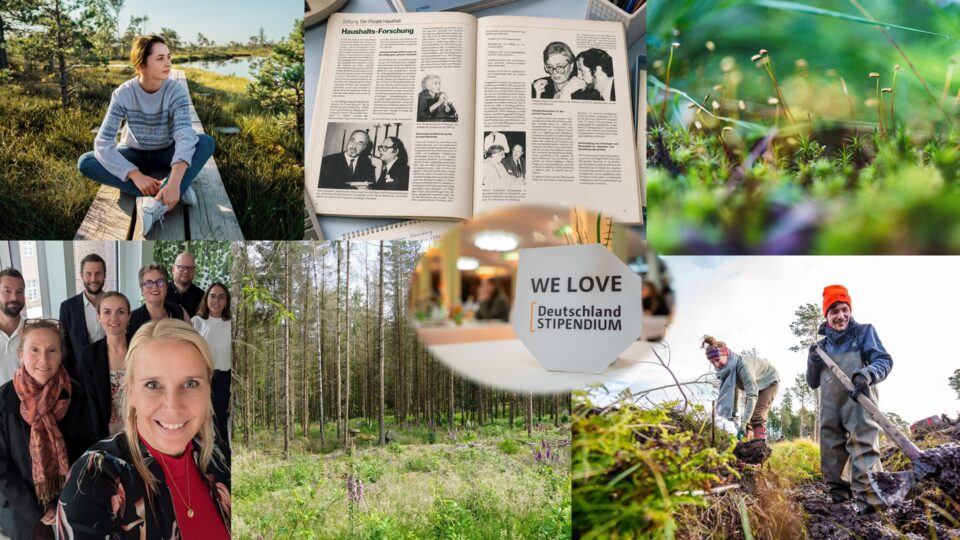 Collage aus Fotos aus der Stiftungsarbeit